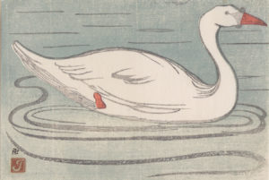 Collection Image: Isaac "Cygne"