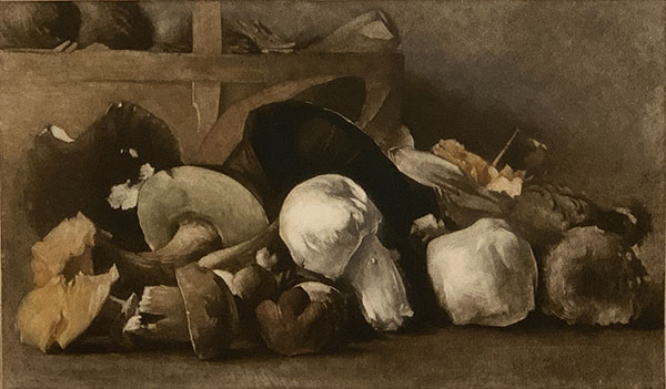 Collection Image: Ilsted Mushrooms