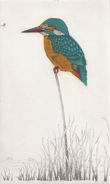 Collection Image: Estebe Kingfisher